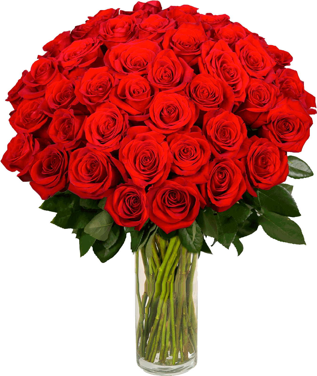 Ramo de flores imágenes PNG descarga gratuita