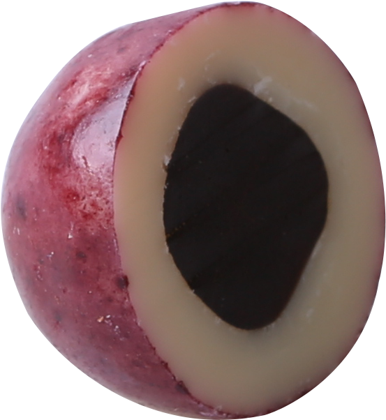 Download Transparent Png - Fruit Clipart (553x602), Png Download