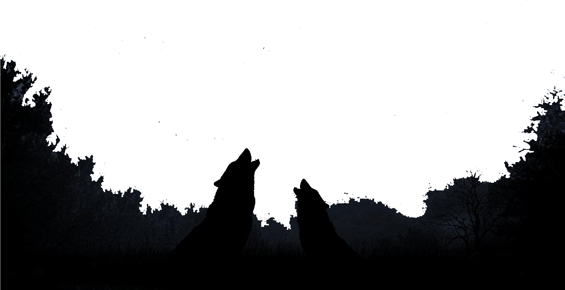 Leaders - Transparent Silhouettes Moon Png Clipart (1920x1080), Png Download