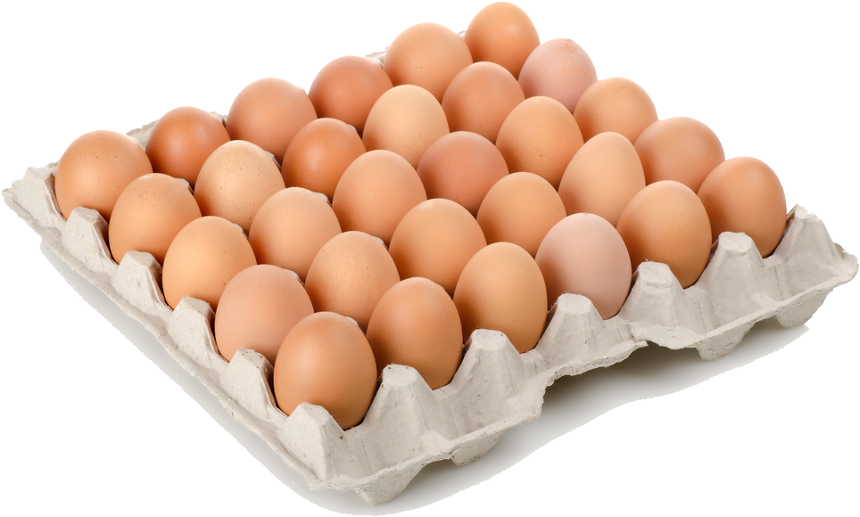 Arquitecto, Te Lo Ponemos A Huevo - Eggs Case Clipart (999x615), Png Download