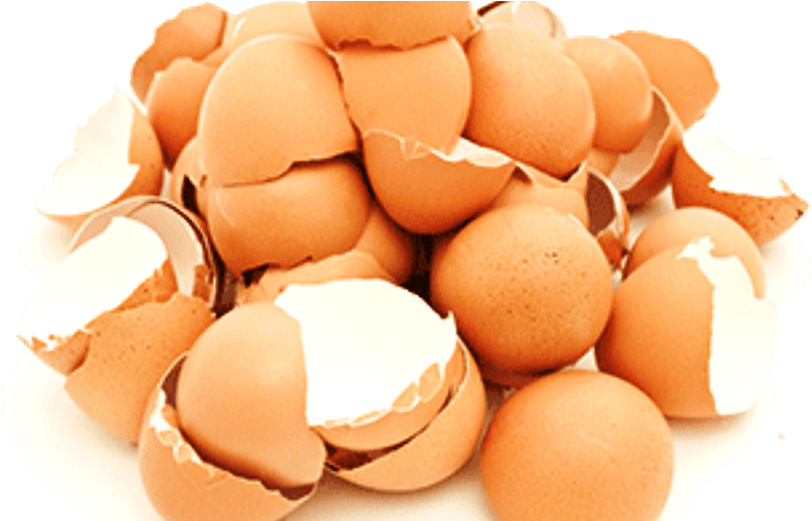 ¡cuando Sepas Los Beneficios De Los Cascarones De Huevo - Egg Clipart (1000x520), Png Download