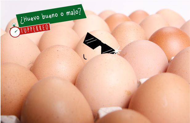 Aunque Aún No Estéis Familiarizados Con La Actividad - Egg Clipart (800x400), Png Download