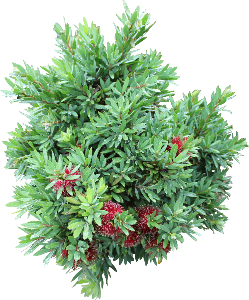 Better John™ Clipart (850x1024), Png Download