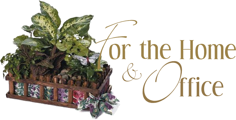 Dish Garden Designs Clipart (877x443), Png Download