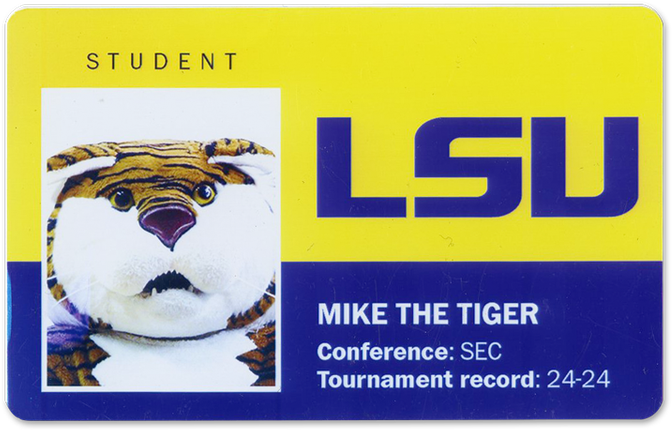 Michigan State - Siberian Tiger Clipart (750x514), Png Download