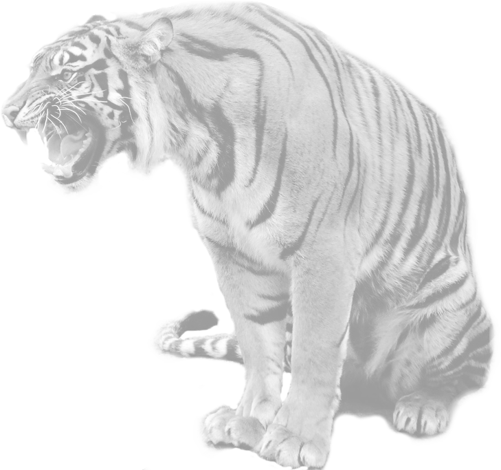 India - Maltese Tiger Clipart (729x683), Png Download