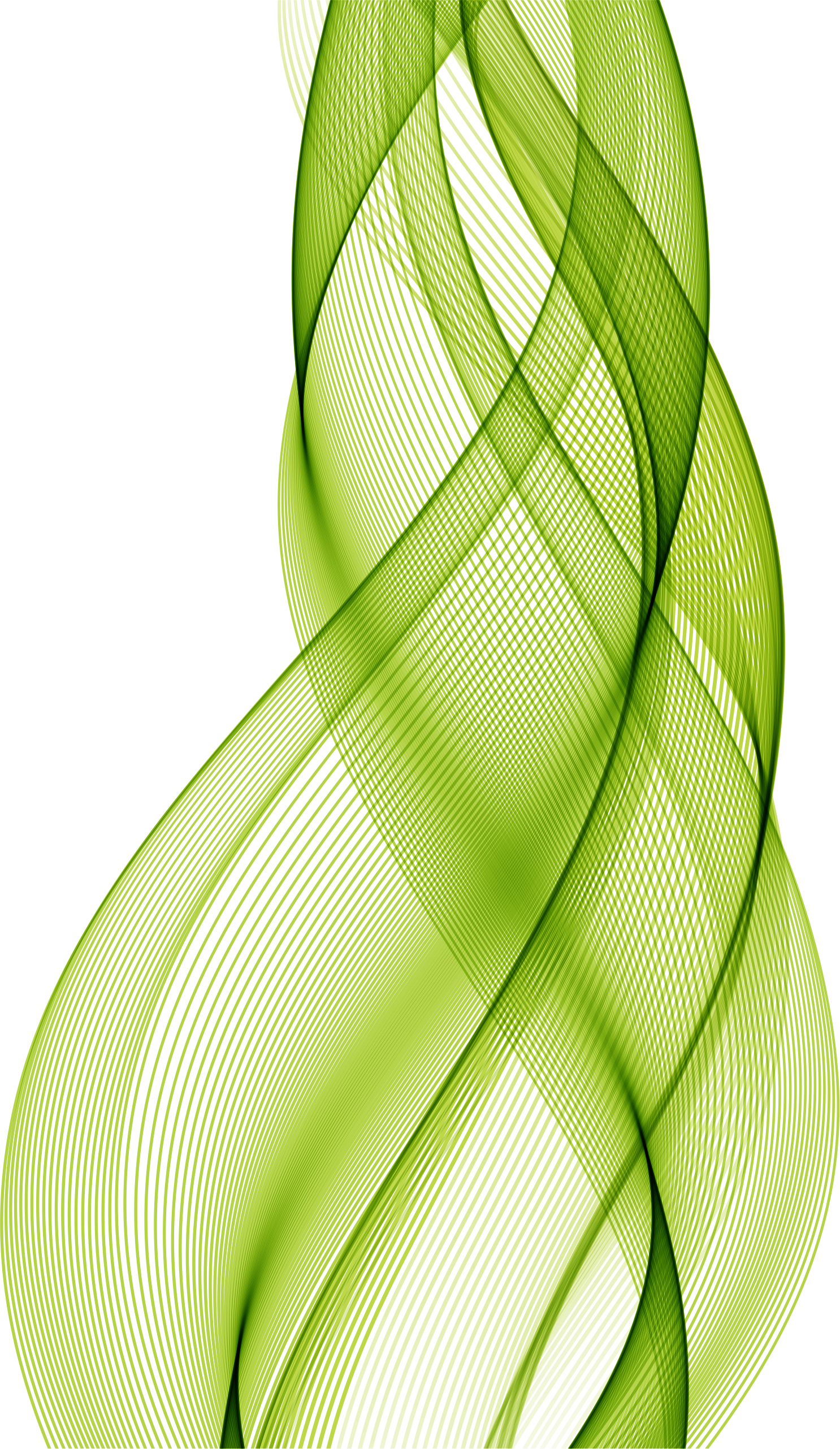 Green, Line, Vecteur, Leaf, Pattern Png Image With - Vector Graphics Clipart (1486x2563), Png Download