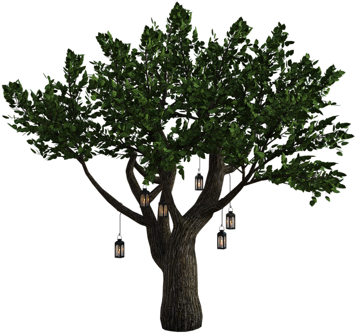 Tree Lanterns Fantasy Leaves Lighting Dark - Wood Clipart (720x720), Png Download