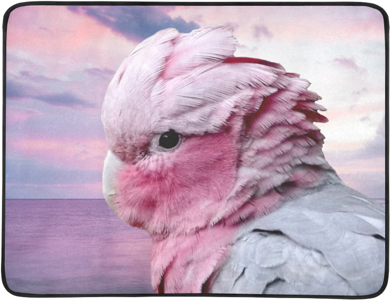 Galah Cockatoo Clipart (1000x1000), Png Download