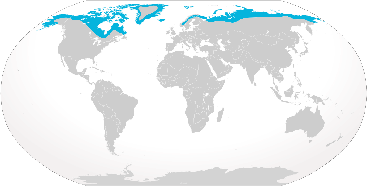 United States To Peru Clipart (1200x618), Png Download