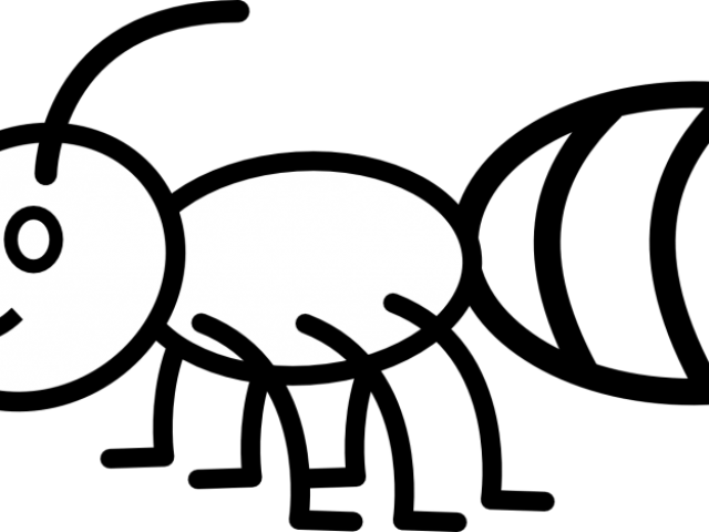 Clipart Of The Day - Coloring Picture Of Ant - Png Download (640x480), Png Download