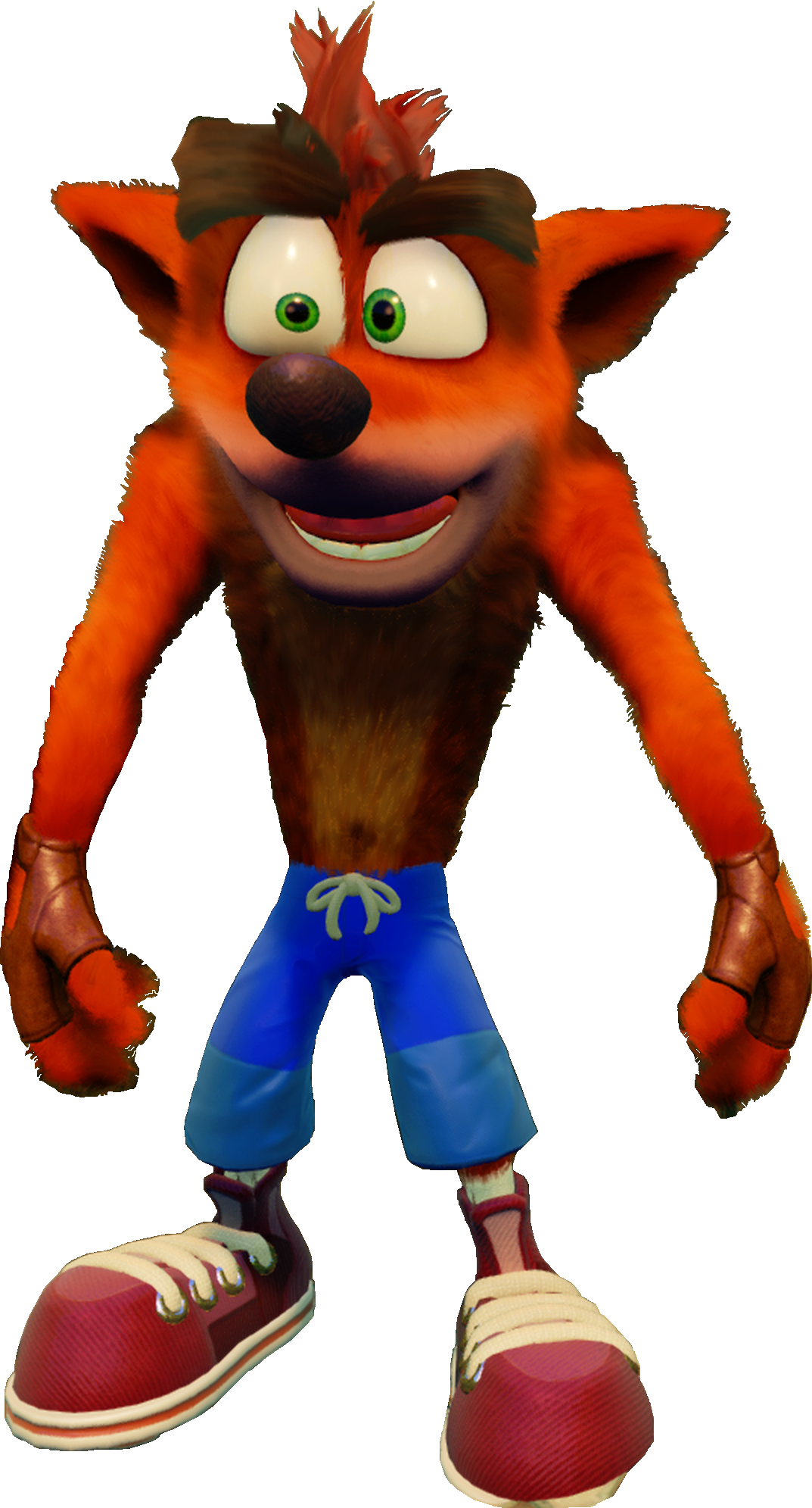Crash Bandicoot N Sane Trilogy Crash Clipart (1073x1991), Png Download