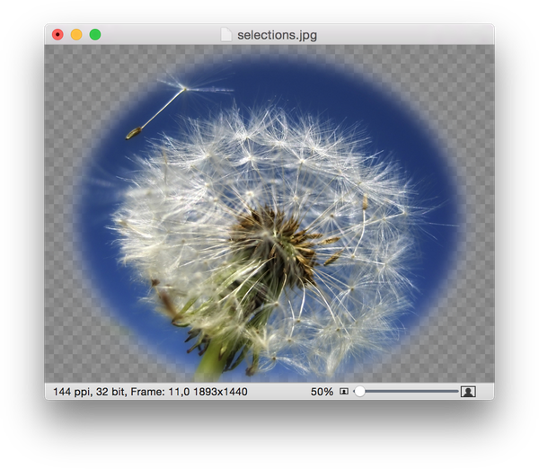 Screen Shot 2015 04 30 At - Löwenzahn Clipart (600x522), Png Download