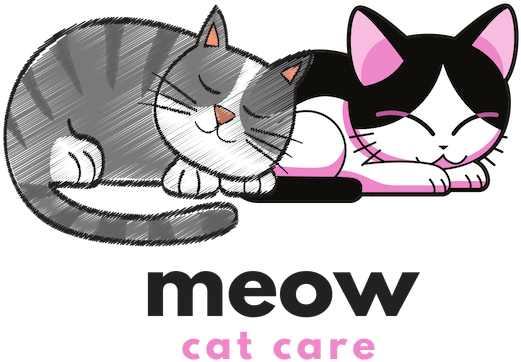 Meow Cat Care - Kitten Clipart (800x800), Png Download