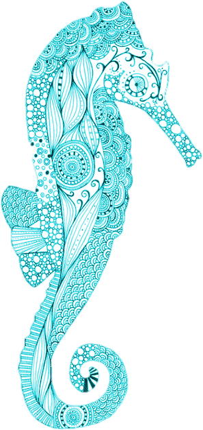 Desenho De Cavalo Marinho Clipart (500x663), Png Download