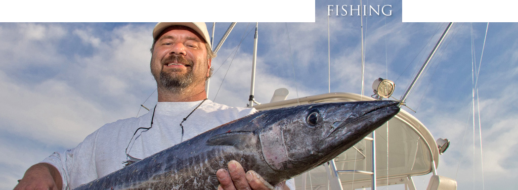 Jigging Clipart (1024x376), Png Download