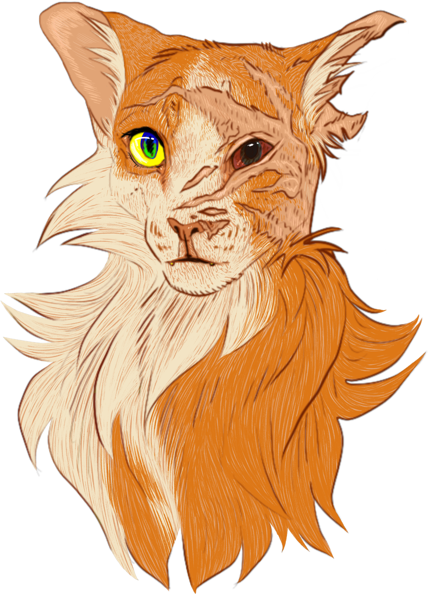 Rainbow Brite - Lion Clipart (904x1280), Png Download