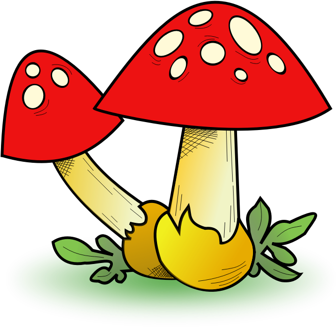 Clipart - Fungal Forest - Mushroom Clipart - Png Download (800x800), Png Download
