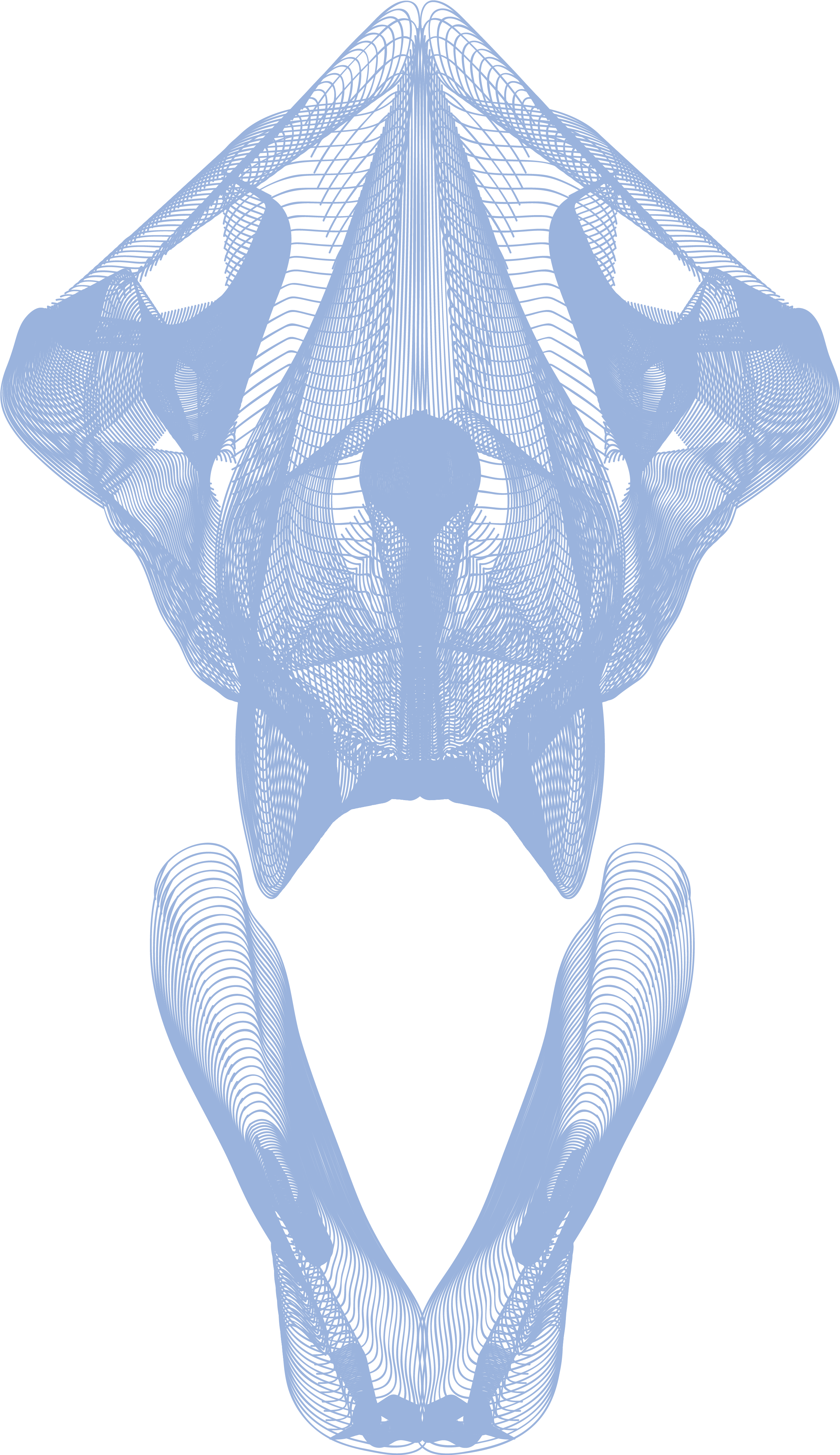 Wolf Skull V-ray - Illustration Clipart (2705x4476), Png Download