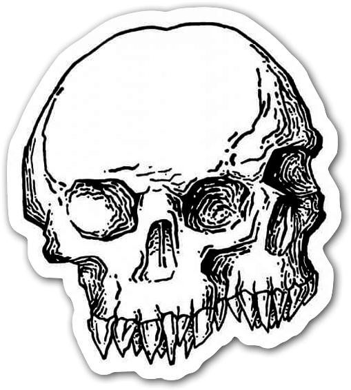 Double Skull - Skull Clipart (540x600), Png Download