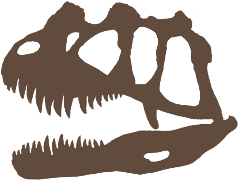 Ceratosaurus - Skull Clipart - Large Size Png Image - PikPng