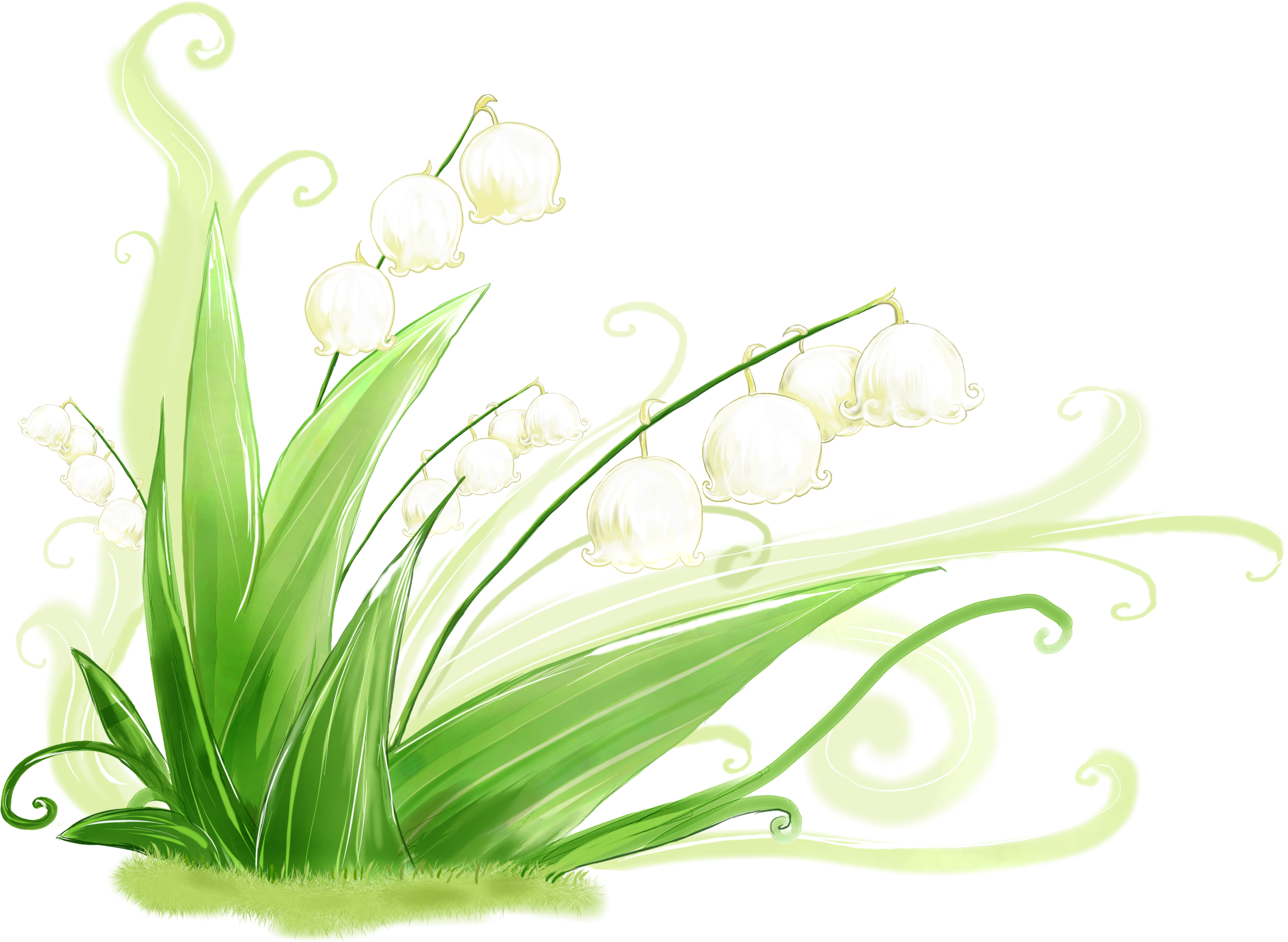 4k Wallpaper Grass » Picserio - 铃 兰 手绘 Clipart (3099x2268), Png Download