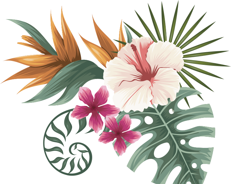 Hawaiian Hibiscus Clipart (747x596), Png Download
