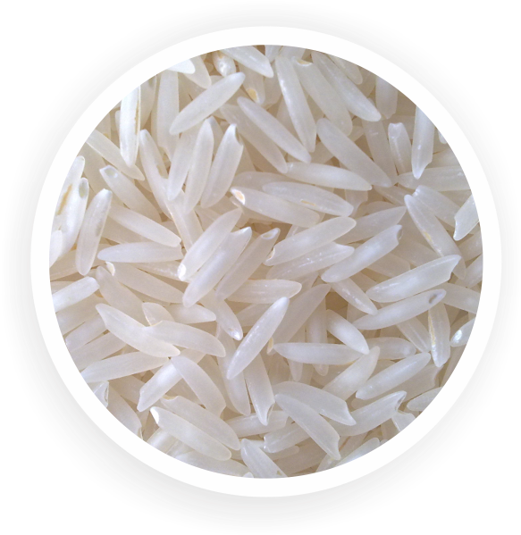 Traditional Basmati White Rice - Patanjali Katarni Rice Clipart (583x599), Png Download