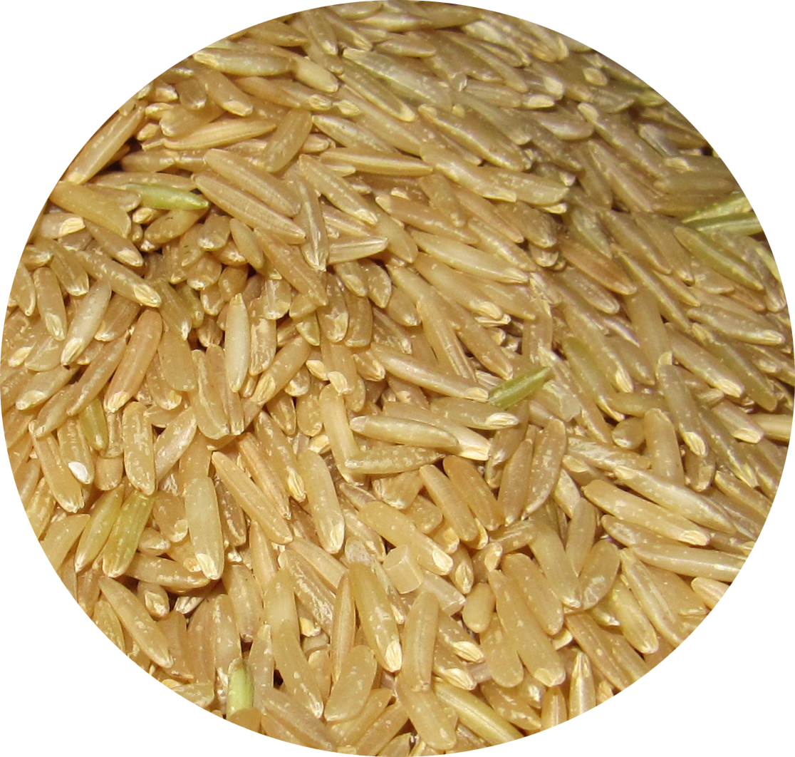 Rice Is A Staple Food In Most, If Not All, Asian Dishes - Rice Clipart (1116x1062), Png Download