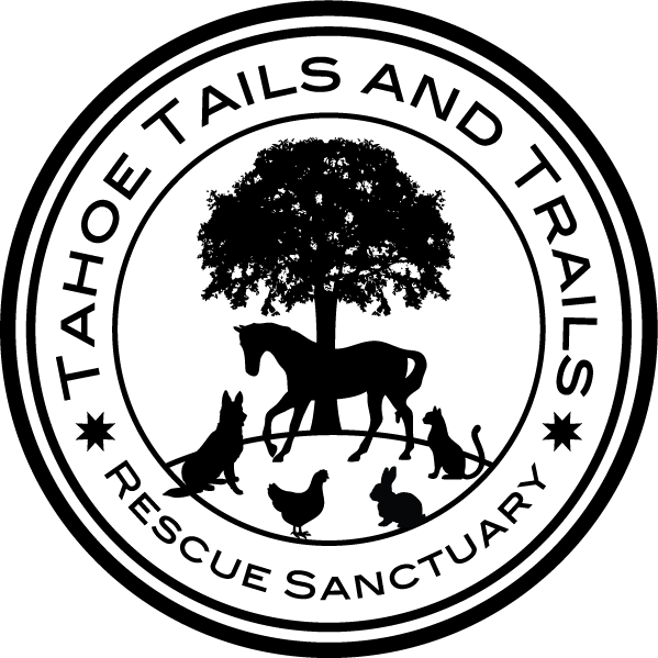Tttrs Logo Tttrs Logo Tttrs Logo Tttrs Logo - Silhouette Clipart (599x599), Png Download
