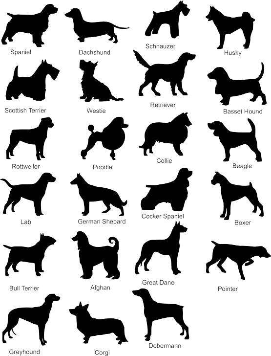 Dog Silhouette Free Download Dogs Pinterest - Dog Breeds Clipart (555x728), Png Download