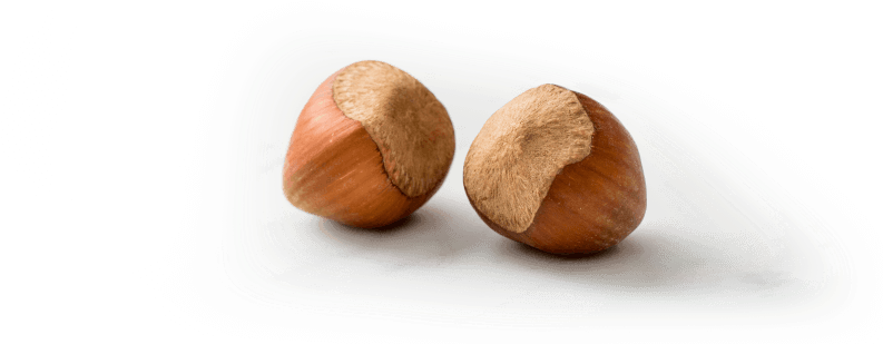 When It Comes To Health, Hazelnuts Stand Out - Mexican Pinyon Clipart (863x400), Png Download