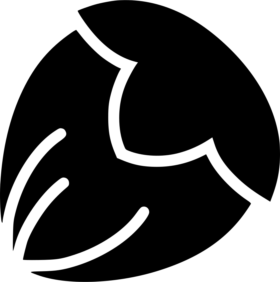 Png File Svg - Hazelnut Clipart (980x986), Png Download