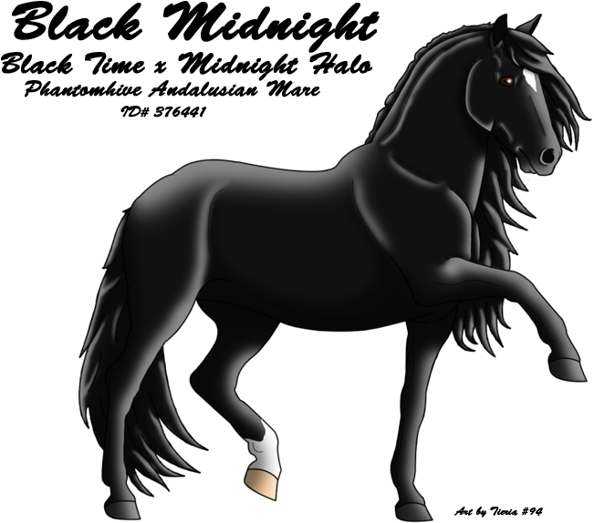 Veriamo, Miatago, Libitago, Miala, Michaelis, Santiva, - Stallion Clipart (700x584), Png Download