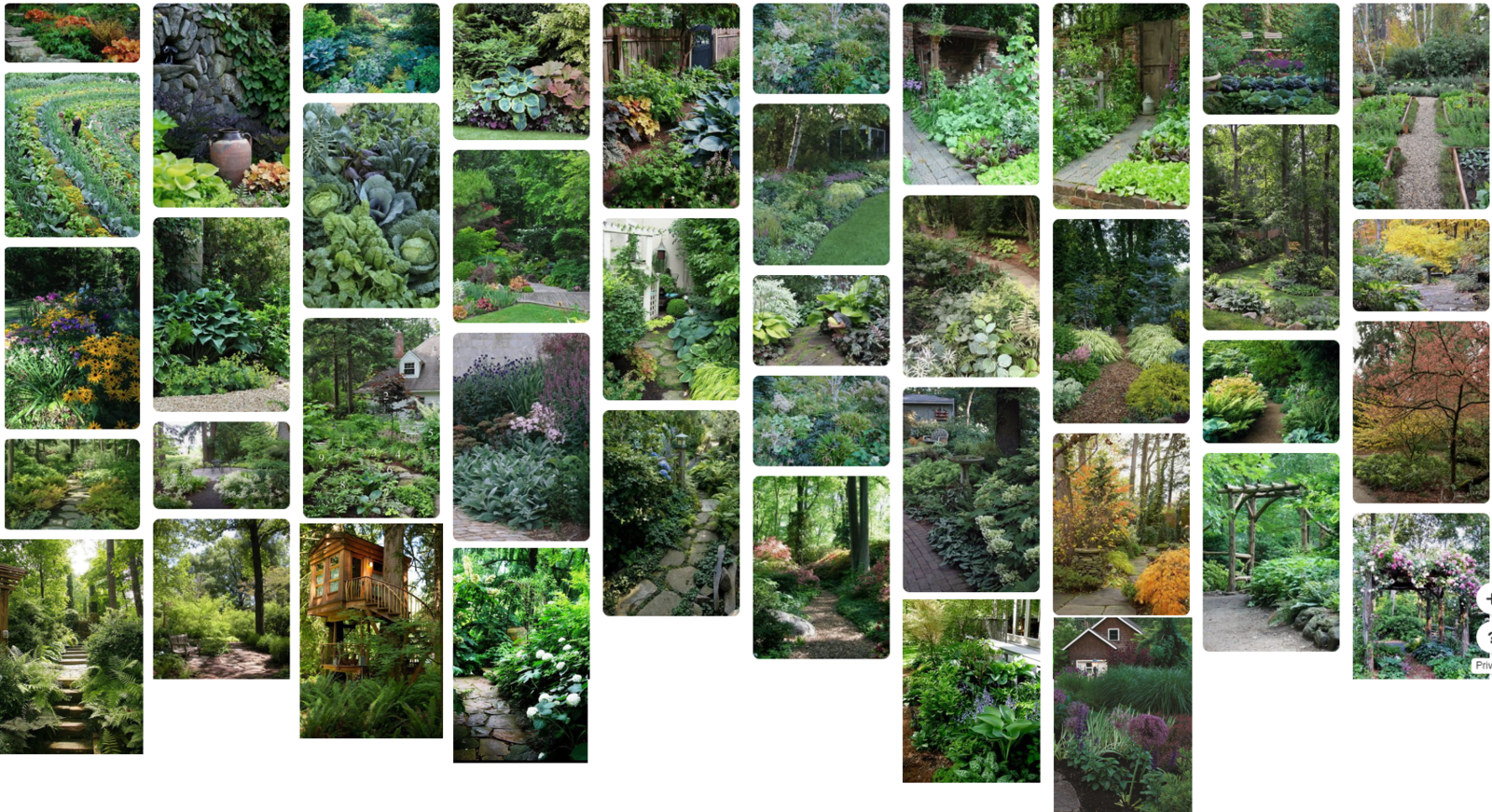 Hydrangea Garden Clipart (1600x871), Png Download