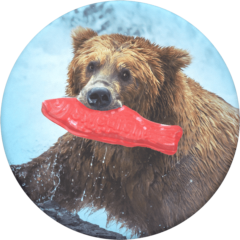 Fishing Trip, Popsockets - Carnivore Animals Clipart (1000x1000), Png Download