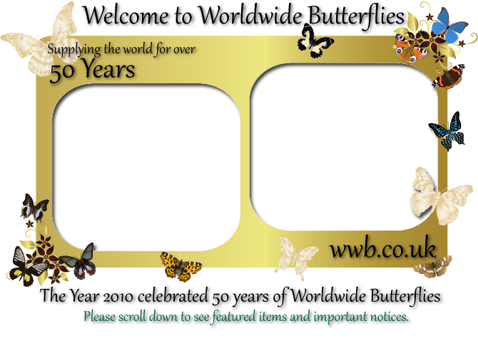 Over 50 Years Of Supplying Butterflies, Moths, Livestock, - Dog Licks Clipart (670x475), Png Download