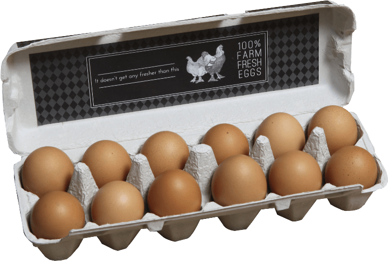 View Detail - Egg Clipart (800x600), Png Download