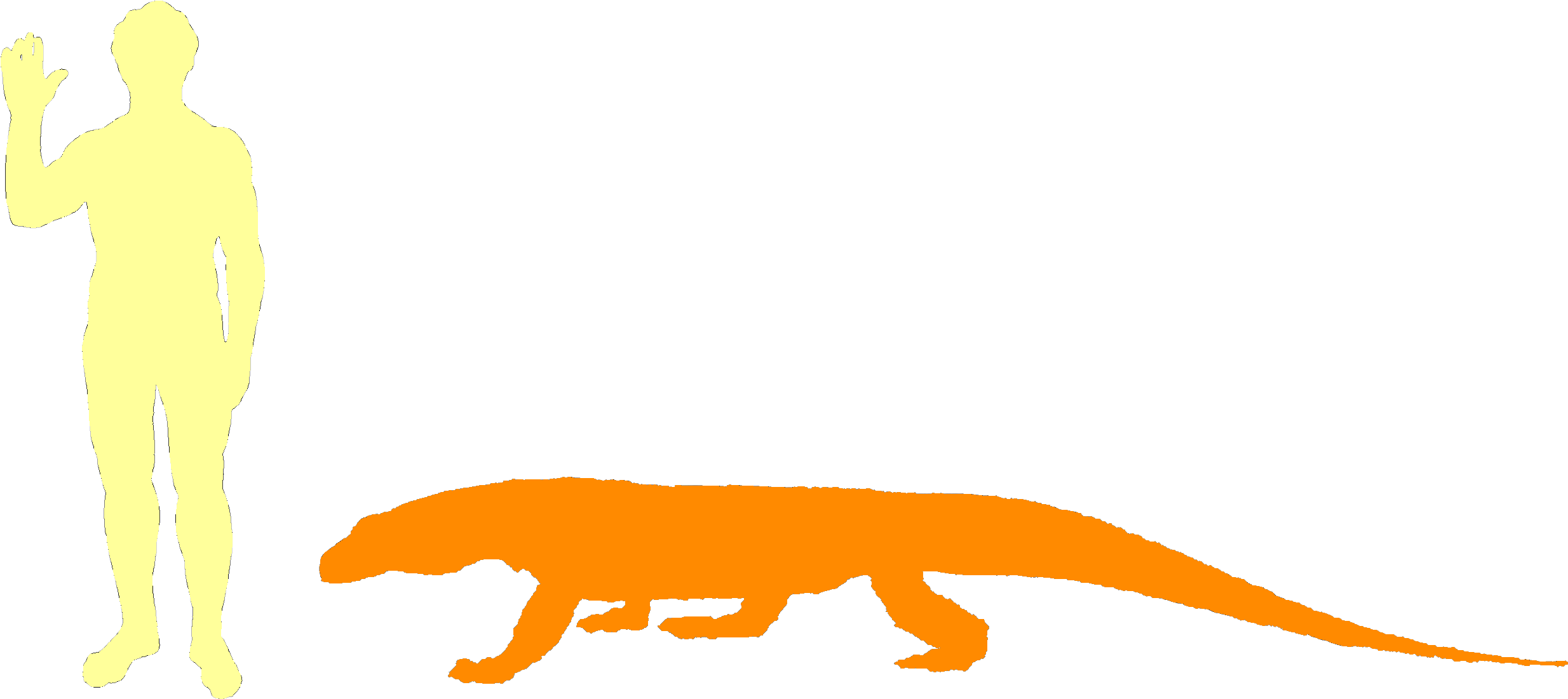 The Komodo Dragon Is The World's Biggest Lizard - Lizard Clipart (2544x1161), Png Download
