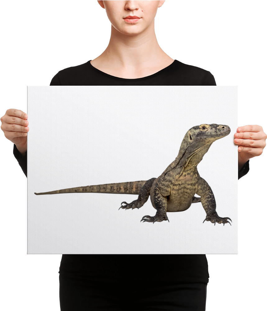 Deep Lounge Cd , Png - Komodo Dragon Clipart (859x1001), Png Download