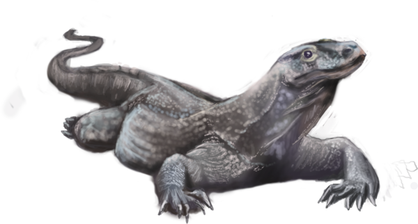 Komodo Dragon Transparent Background Clipart (600x322), Png Download