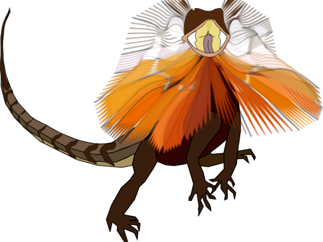 Komodo Dragon Clipart Transparent - Frilled Neck Lizard Skeleton - Png Download (640x480), Png Download