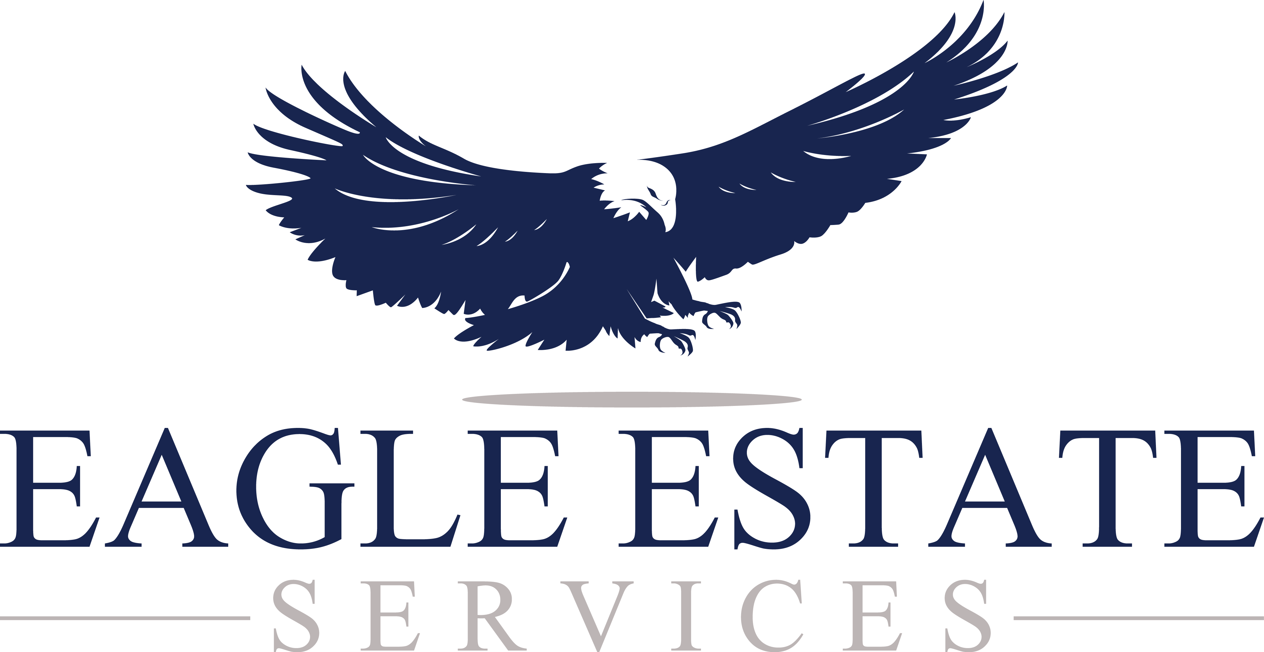 Contact Us - Bald Eagle Clipart (4187x2162), Png Download