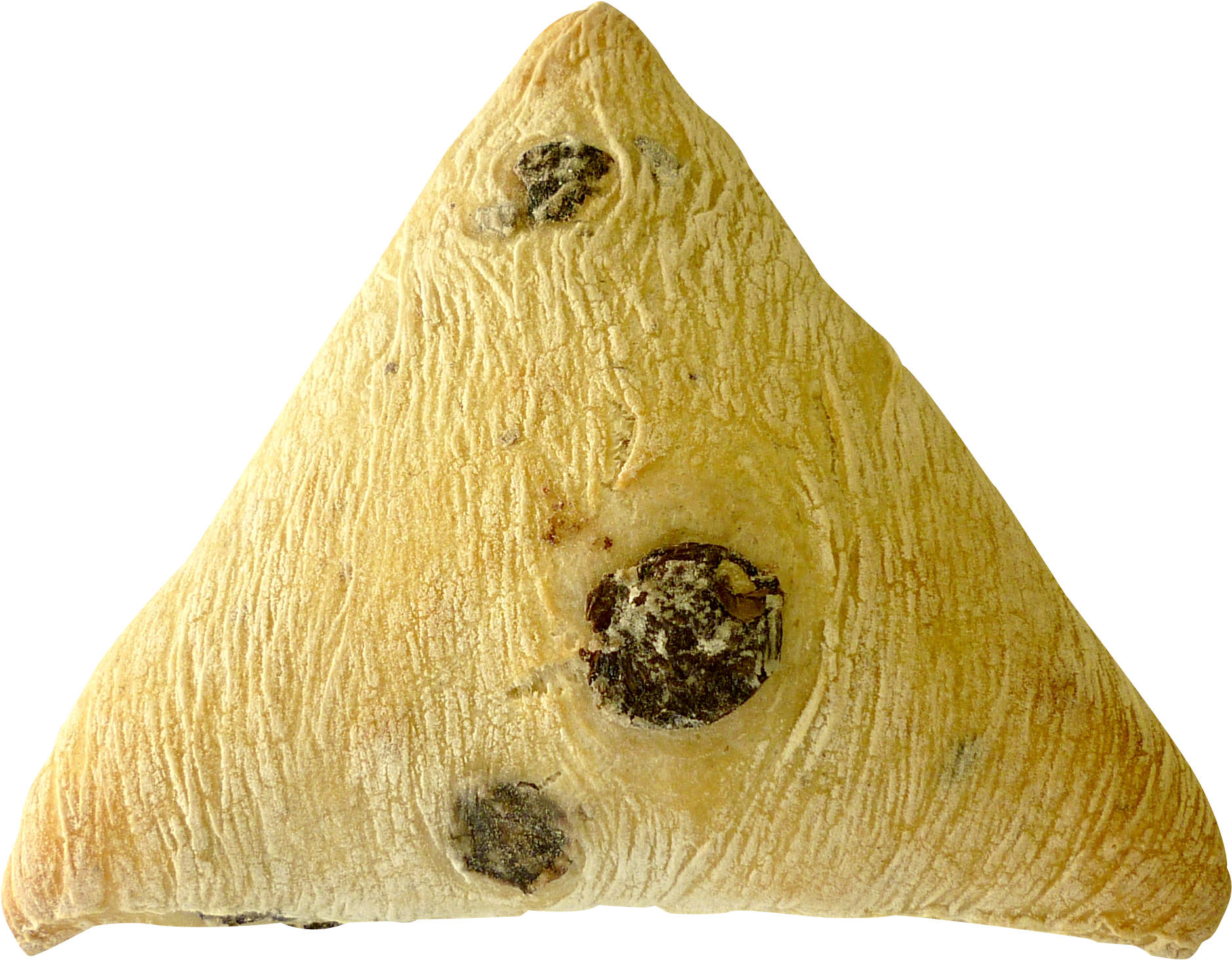 Olive Triangle - Marine Invertebrates Clipart (2172x1824), Png Download