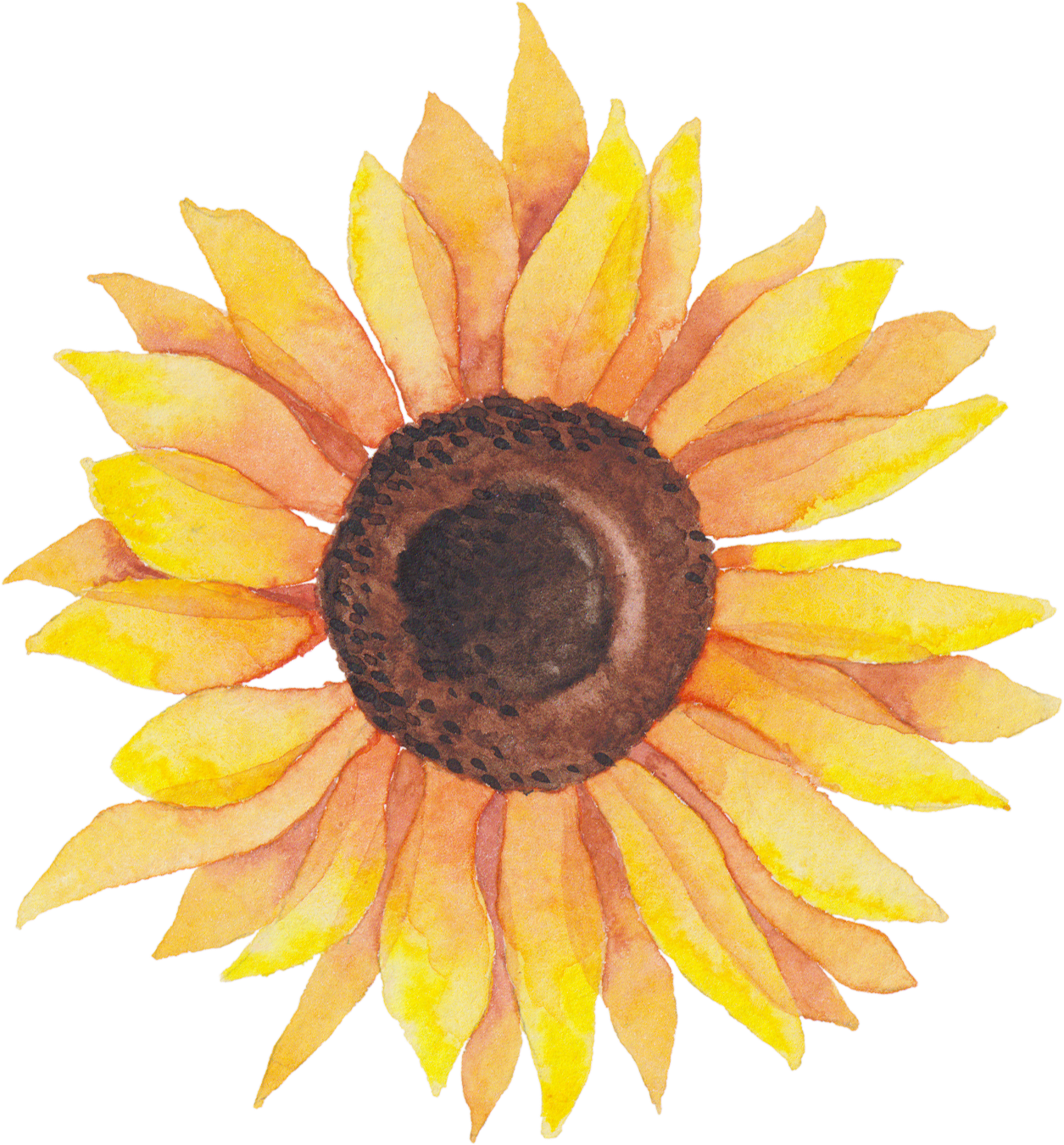 Self Portraits - Sunflower - Transparent Background Watercolor Sunflower Clipart - Png Download (1255x1350), Png Download