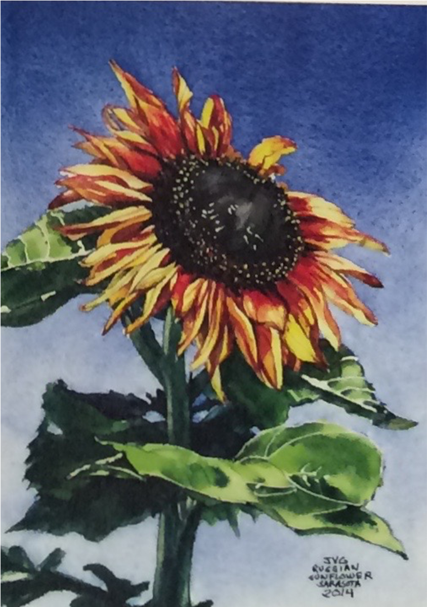 Cjg-02 - Sunflower Clipart (1200x1200), Png Download