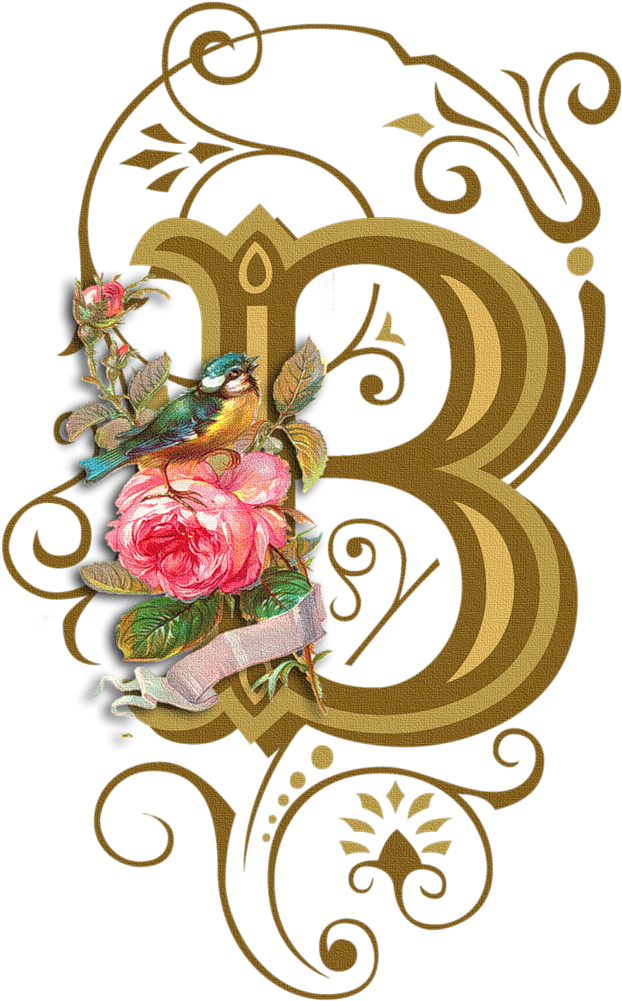 Letter - B - Alphabet Clipart (719x1024), Png Download