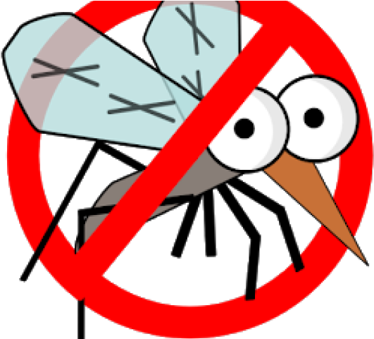 Anti Mosquito Png Clipart (640x480), Png Download
