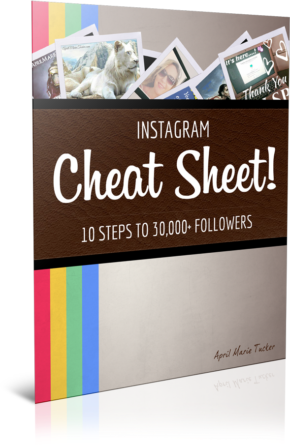 Get Leads With Instagram - Instagram Cheat Sheet Clipart (600x937), Png Download