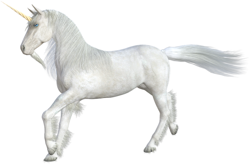 Unicorn Horse Mythical Creatures Horn Fairy Tales - Unicorn Clipart (960x720), Png Download